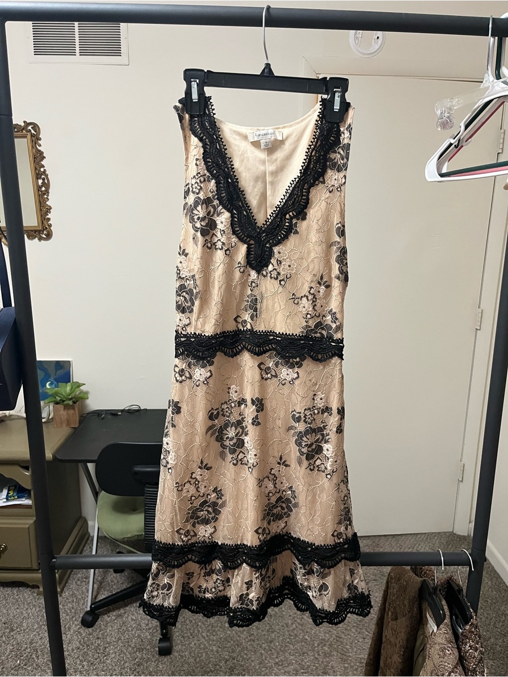 Francesca’s dress